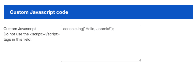 🧠 Custom JavaScript Integration