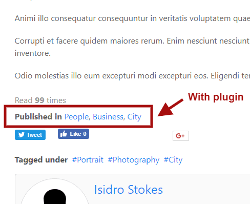 🌐 Display Items in Multiple Categories on the Frontend