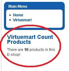 π Frontend Display (Product Counter)
